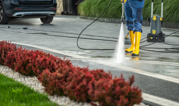 Best Vinyl Siding Pressure Washing in Jasper, GA